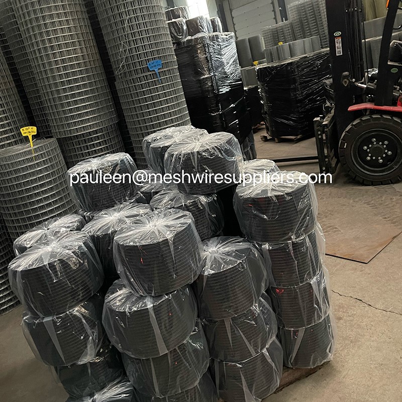 product-800-800