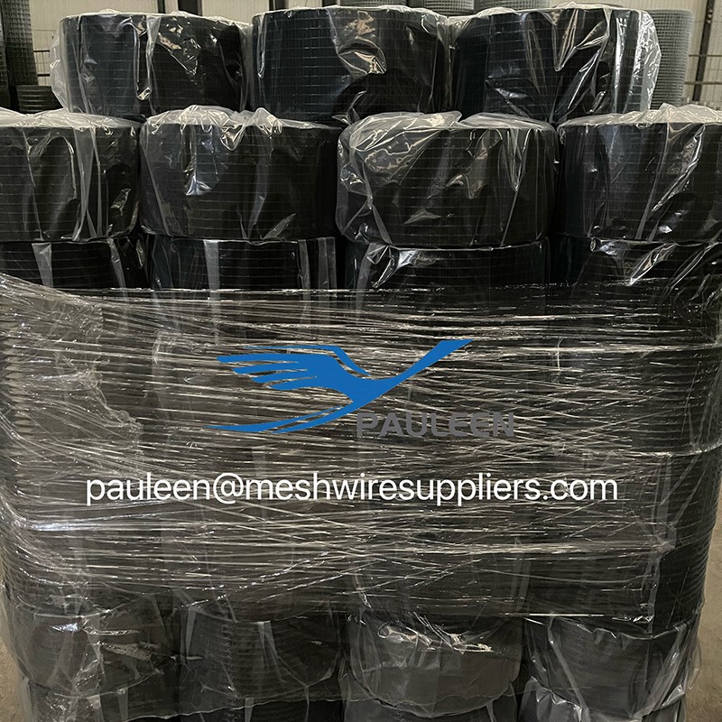product-800-800